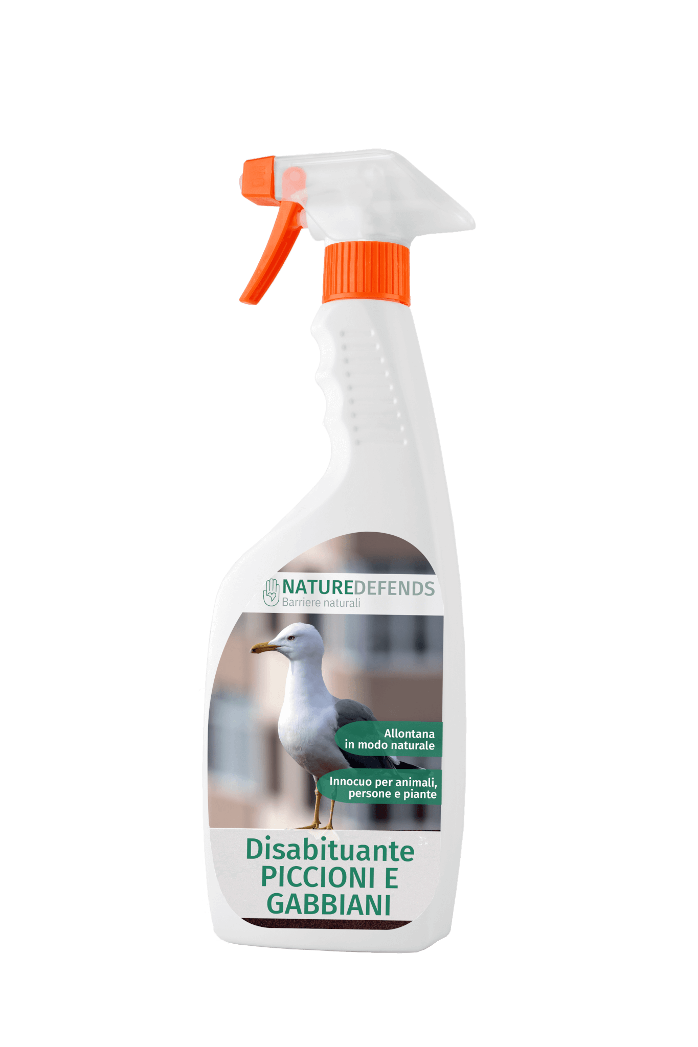 Disabituante Piccioni e Gabbiani Copyr