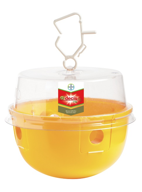 Decis Trap Olivo – Trappola per mosca dell'olivo Bayer